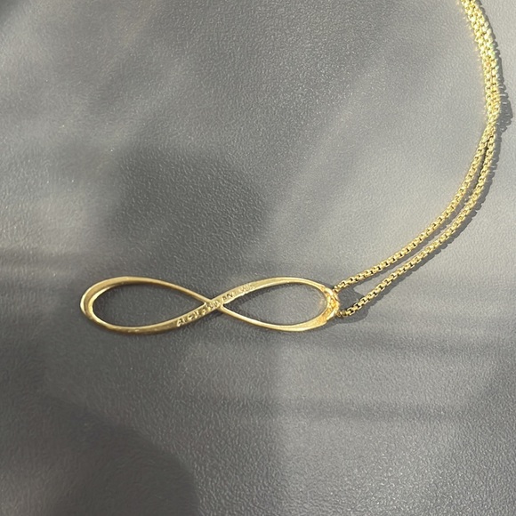 Alex and Ani infinity necklace - Picture 4 of 4